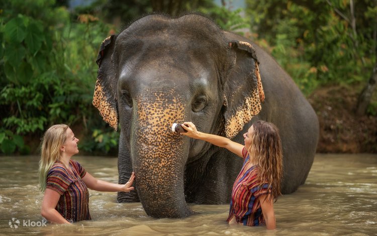 Atlantis Aquaventure